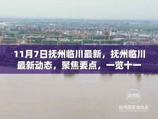 抚州临川11月7日最新动态聚焦,一览新风采