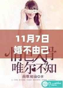 婚不由己，温馨日常的甜蜜篇章（最新章节）