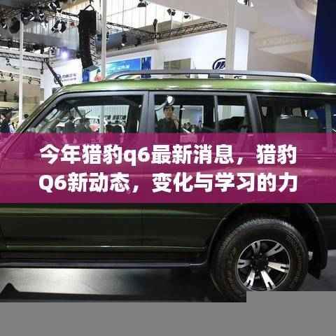 猎豹Q6新动态揭秘，变化与学习的力量塑造未来之路的自信成就者