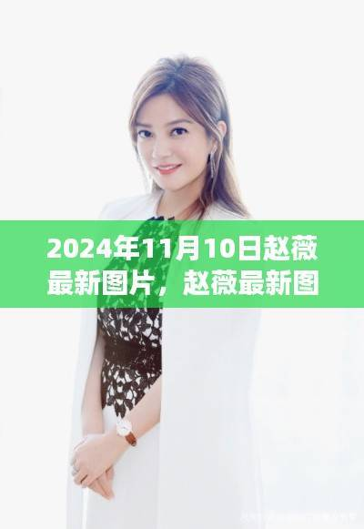 赵薇最新图片收藏指南,2024年11月10日专享攻略与指南