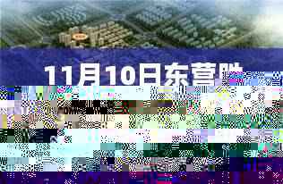 11月10日东营胜宏荣域最新动态详解,掌握最新资讯的指南