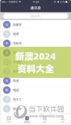 新澳2024资料大全免费,安全评估策略_钻石版ZIU784.84