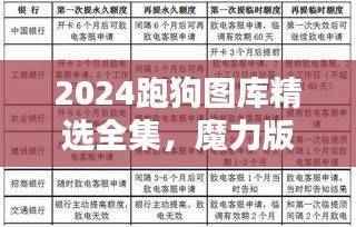 2024跑狗图库精选全集,魔力版EVS651.62深度解析