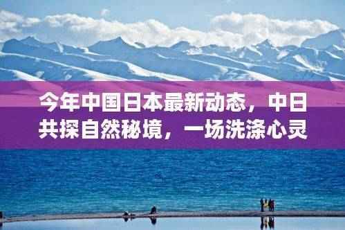 中日共探自然秘境,心灵洗涤之旅与双边关系的最新动态