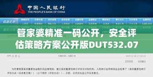 管家婆精准一码公开,安全评估策略方案公开版DUT532.07