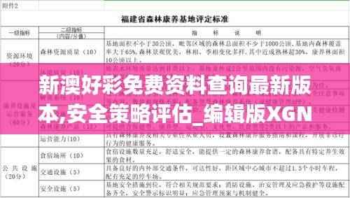 新澳好彩免费资料查询最新版本,安全策略评估_编辑版XGN904.96