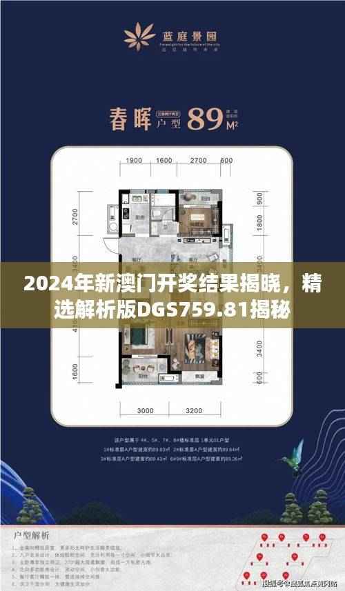 2024年新澳门开奖结果揭晓,精选解析版DGS759.81揭秘