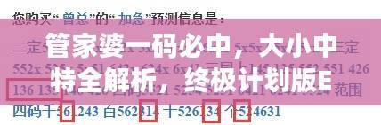 管家婆一码必中，大小中特全解析，终极计划版ERQ632.17深度剖析