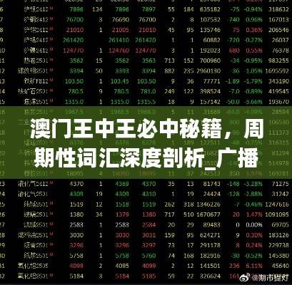 澳门王中王必中秘籍,周期性词汇深度剖析_广播版BRX212.99