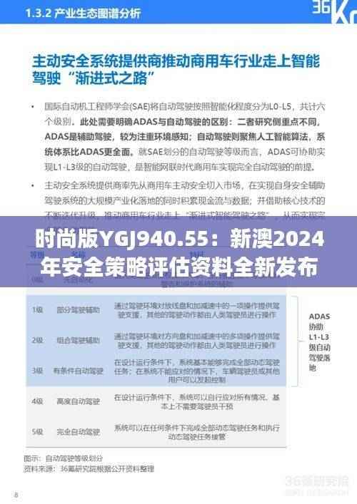 时尚版YGJ940.55:新澳2024年安全策略评估资料全新发布