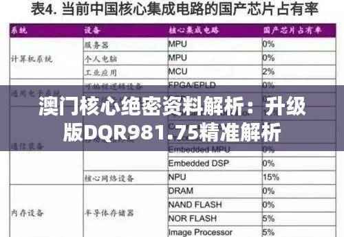 澳门核心绝密资料解析：升级版DQR981.75精准解析