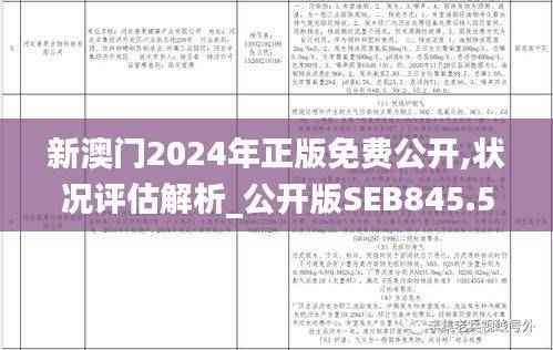 新澳门2024年正版免费公开,状况评估解析_公开版SEB845.58