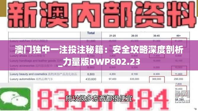 澳门独中一注投注秘籍:安全攻略深度剖析_力量版DWP802.23