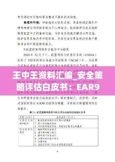 王中王资料汇编_安全策略评估白皮书:EAR949.91版