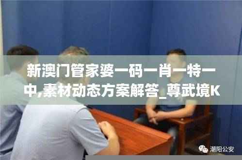 新澳门管家婆一码一肖一特一中,素材动态方案解答_尊武境KYA151.9