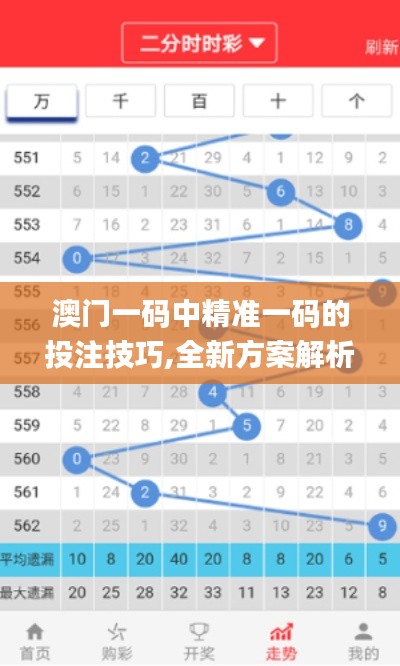 澳门一码中精准一码的投注技巧,全新方案解析_影音版205.26