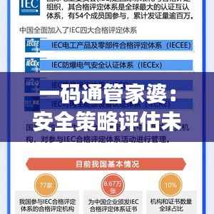 一码通管家婆:安全策略评估未来方案 CAO508.68版