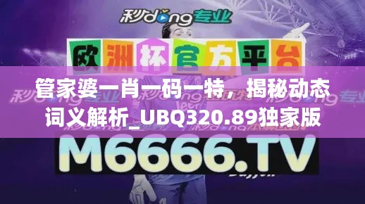 管家婆一肖一码一特,揭秘动态词义解析_UBQ320.89独家版