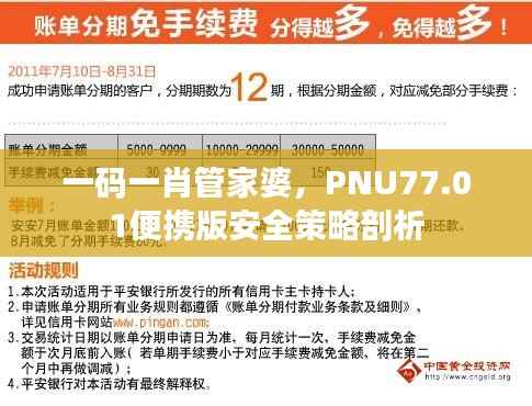一码一肖管家婆,PNU77.01便携版安全策略剖析
