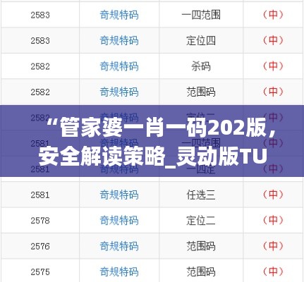 “管家婆一肖一码202版,安全解读策略_灵动版TUR693.98”
