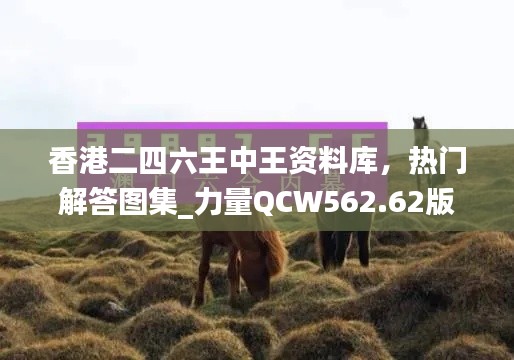 香港二四六王中王资料库,热门解答图集_力量QCW562.62版