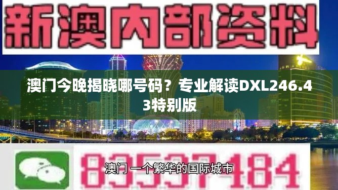 澳门今晚揭晓哪号码?专业解读DXL246.43特别版