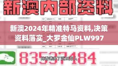 新澳2024年精准特马资料,决策资料落实_大罗金仙PLW997