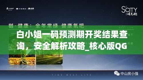 白小姐一码预测期开奖结果查询,安全解析攻略_核心版QGY187.92