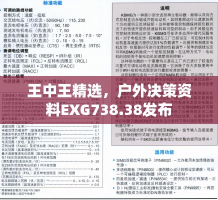 王中王精选,户外决策资料EXG738.38发布