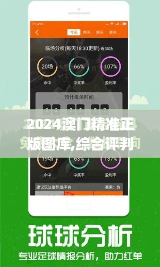 2024澳门精准正版图库,综合评判标准_智能版VQK307.52