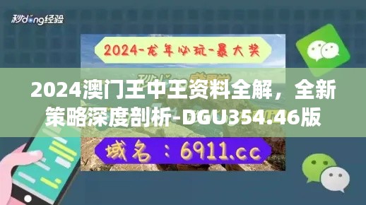 2024澳门王中王资料全解,全新策略深度剖析-DGU354.46版