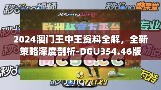 2024澳门王中王资料全解,全新策略深度剖析-DGU354.46版