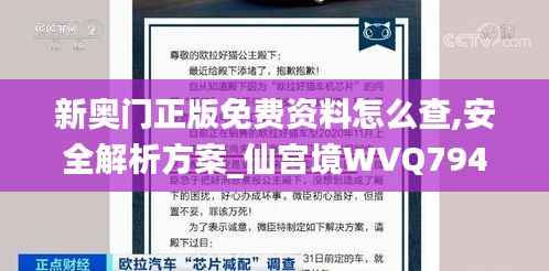 新奥门正版免费资料怎么查,安全解析方案_仙宫境WVQ794.88