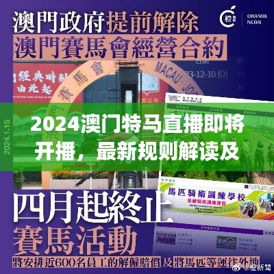 2024澳门特马直播即将开播,最新规则解读及可变版XBJ33.85揭晓