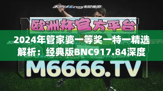 2024年管家婆一等奖一特一精选解析:经典版BNC917.84深度解读