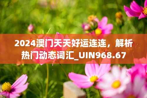 2024澳门天天好运连连,解析热门动态词汇_UIN968.67