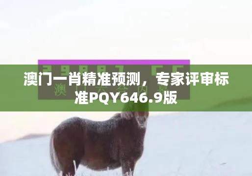 澳门一肖精准预测,专家评审标准PQY646.9版