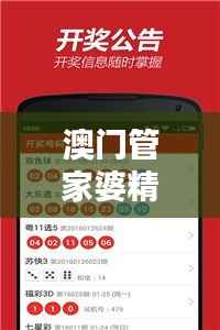 澳门管家婆精华版,热门问题解析及稀有ONS57.07详解