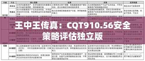 王中王传真:CQT910.56安全策略评估独立版
