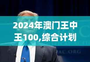 2024年澳门王中王100,综合计划赏析_魂银版249.73