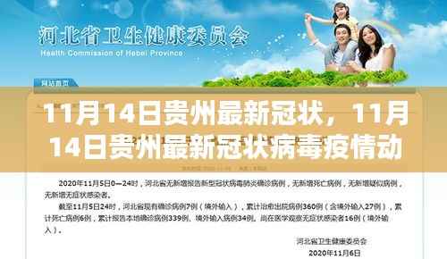 11月14日贵州冠状病毒疫情动态更新与防控措施分析