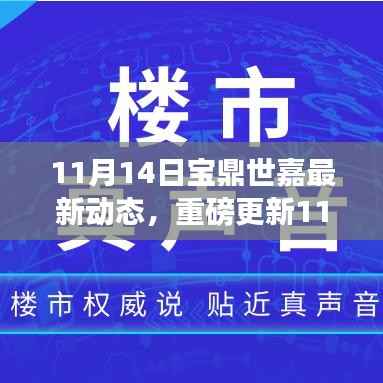 11月14日宝鼎世嘉独家揭秘,最新动态与精彩瞬间不容错过