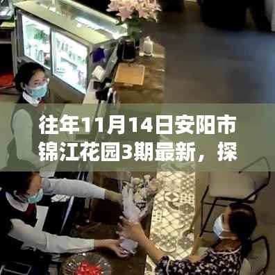 探秘安阳市锦江花园三期隐藏小巷的独特小店,最新发现之旅(日期标注版)