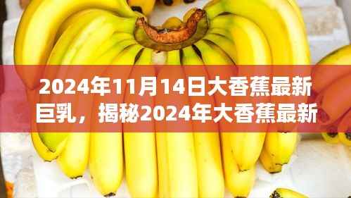 揭秘时尚前沿,揭秘2024年大香蕉最新巨乳趋势与产业新动态