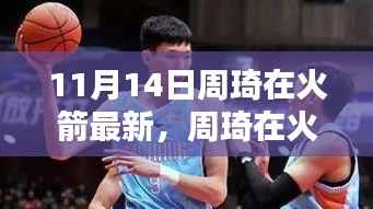 周琦在火箭的最新表现深度解析与观点碰撞,11月14日更新观察