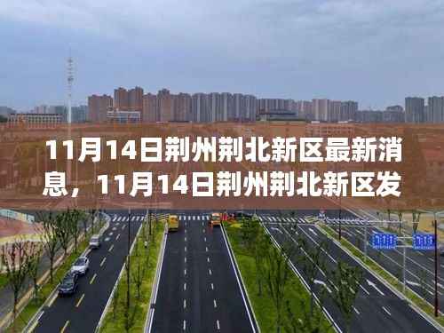 荆州荆北新区发展动态深度解析及最新消息速递(11月14日)