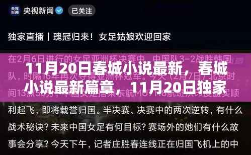 春城小说独家揭秘，最新篇章揭秘