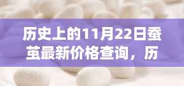 历史上的11月22日蚕茧价格解析,最新价格查询与波动展望