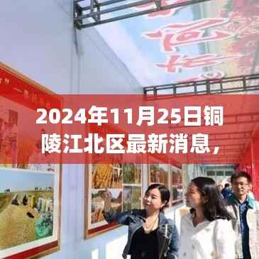 铜陵江北区发展与变化的深度观察,最新动态与消息(2024年11月25日)