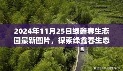 探索绿鑫春生态园,最新图片观赏攻略(2024年11月25日)